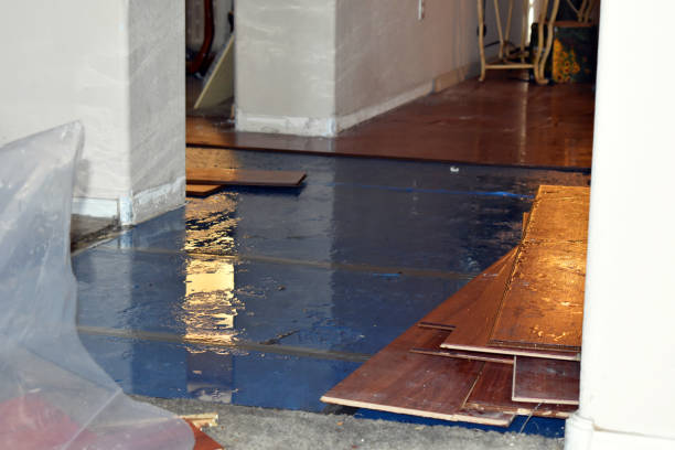 Professional Burst Pipe Cleanup technician working in Baldwin City, KS